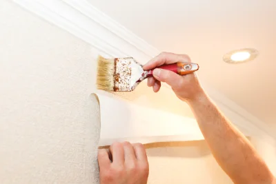 Pose de papier peint à Colombier-Saugnieu — revêtements muraux et toiles de verre